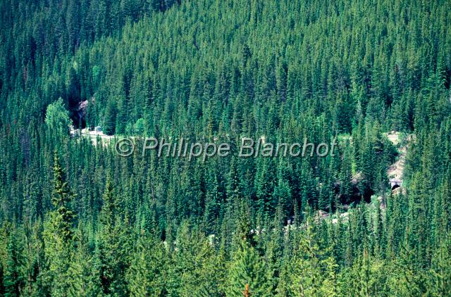 canada alberta 21.JPG - Ancienne voie ferrée de la Canadian Pacific RailwaysParc national de BanffAlbertaCanada